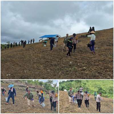 Dukung Ketahanan Pangan, Polsek Kurun Tanam Jagung Perdana di Lahan Poktan Saribumi