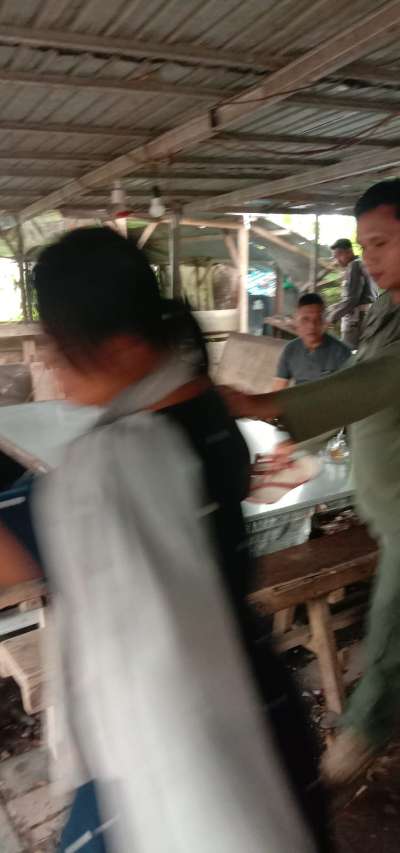 Satpol PP Balangan Amankan ODGJ di Kawasan Warkop Al Akbar secara Humanis