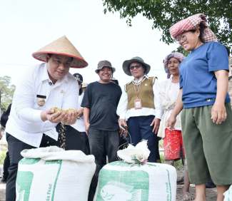 Bupati Vandiko Gultom Panen Bersama Petani, Modernisasi Pertanian Samosir Kian Nyata