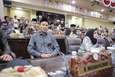 Mushaffa Zakir Minta PLN Perluas Jaringan Listrik Desa Kalsel