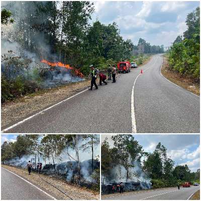 Tim Gabungan Padamkan Karhutla di Desa Batu Nyapau