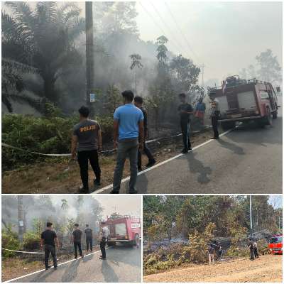Tim Gabungan Padamkan Kebakaran Lahan di Tewah Gunung Mas