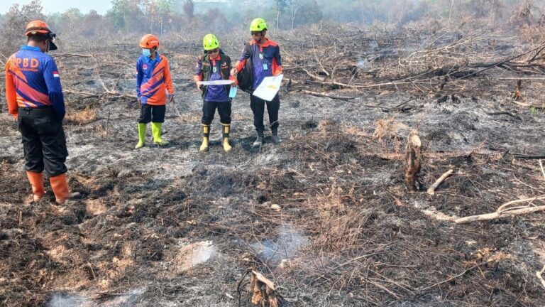 BPBD Balangan Gelar Patroli Karhutla di Tiga Titik Rawan