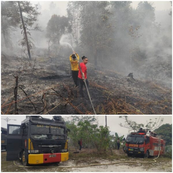 Tim Gabungan Padamkan 6 Hektare Karhutla di Gunung Mas