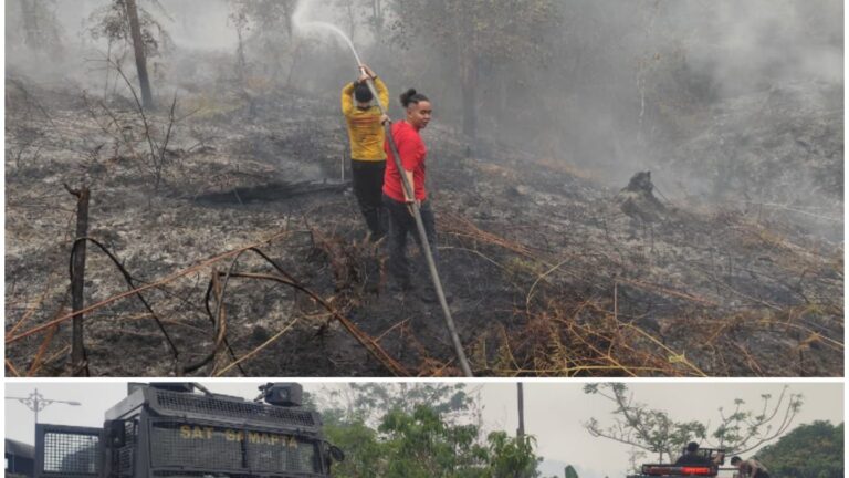 Tim Gabungan Padamkan 6 Hektare Karhutla di Gunung Mas