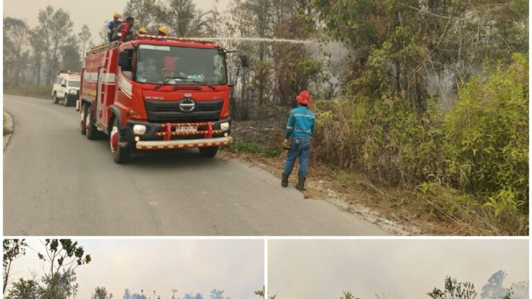 Tim Gabungan Rungan Bergerak Cepat Padamkan Karhutla